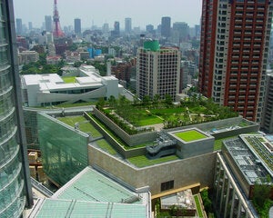 landscaped top of building