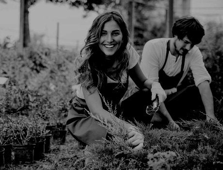 Young couple running a garden center.