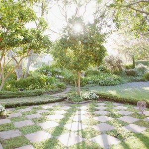 landscaped garden with trees and grass