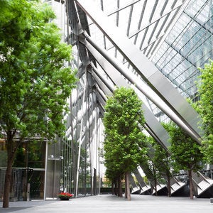 Green trees and glass building