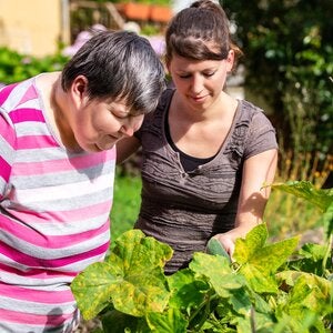 two individuals tending a garden