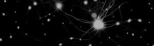 Illustration of neural synapses