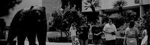 small group of students walking by The Bruin statue on the UCLA campus