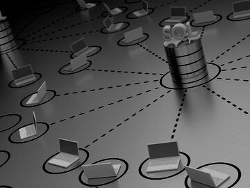 Illustration of SQL database connecting with a network of laptops.