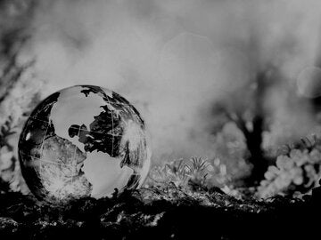 global-business-practices-in-sustainability-mgmtx481-5