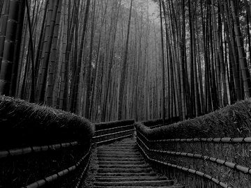 landscape-architecture-ce0594