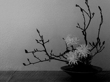  yellow flower Ikebana