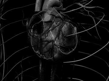 physiology-and-human-biology-lifescixl-7c
