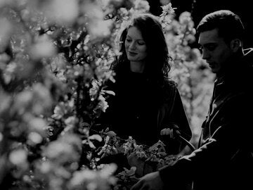 Two people cutting Apple Blossom In Orchard