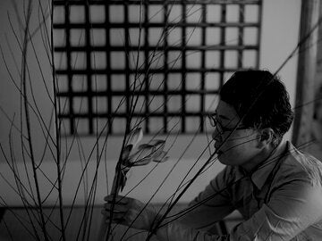 woman studying flower