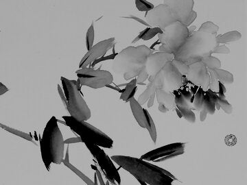 Chinese Brush Painting of Peony