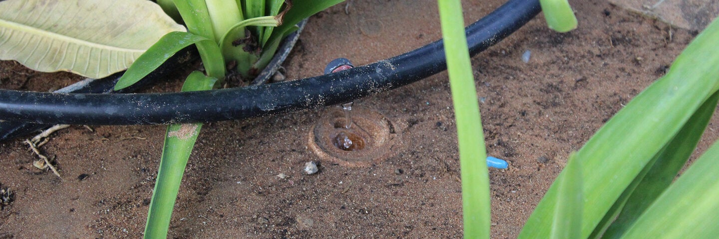 irrigation-water-conservation-archx472-12b