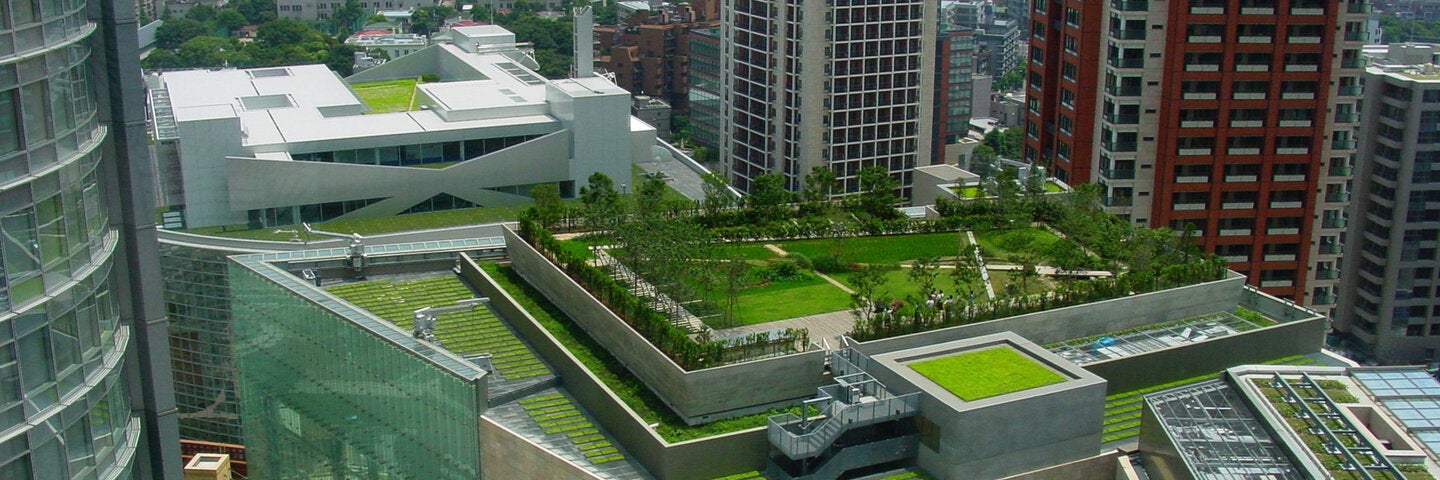 landscaped top of building