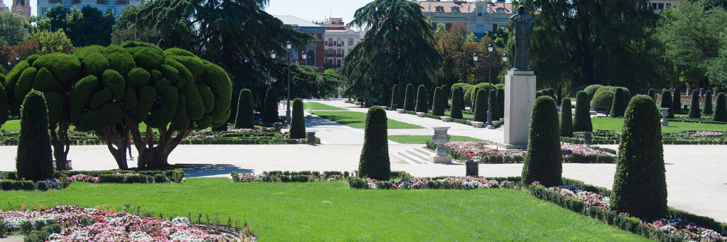 plant-materials-shrubs-archx472-8b