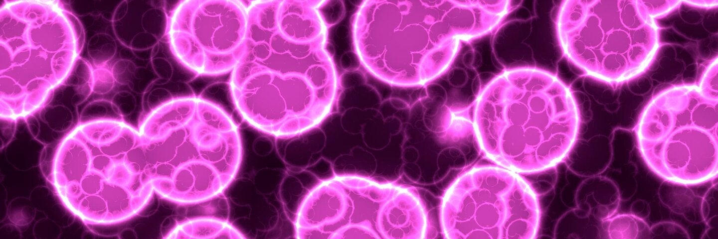 miscroscopic view of human cell