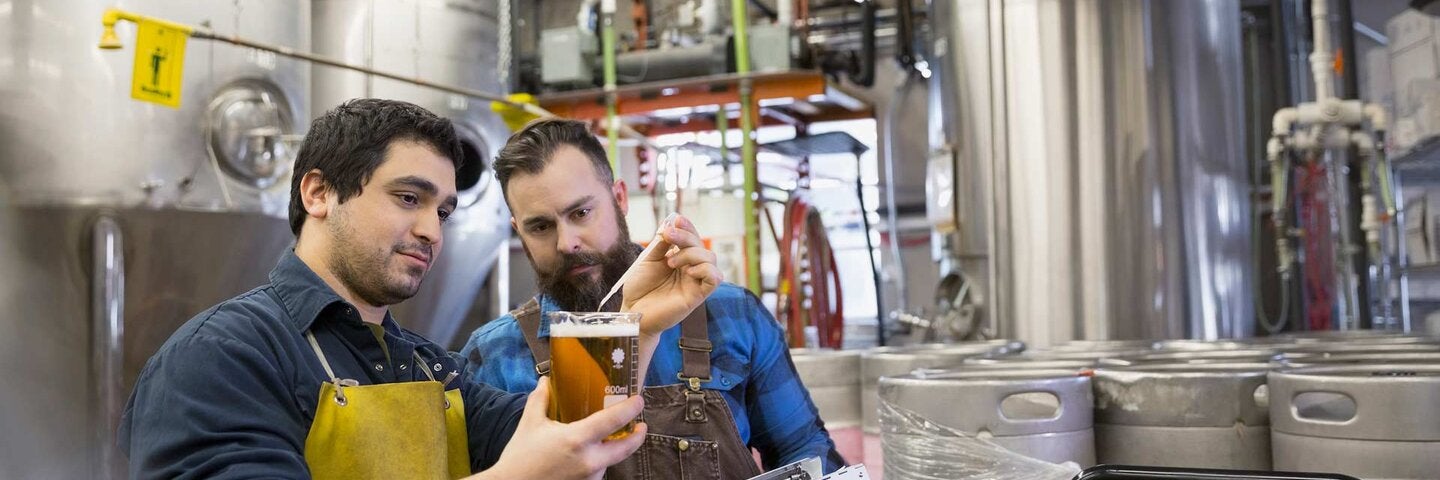 Brewery workers examining beer in beaker